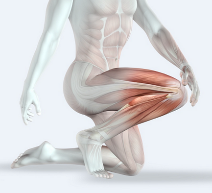 [Александр Волоткевич] Колени_ здоровье и биомехан_0.png